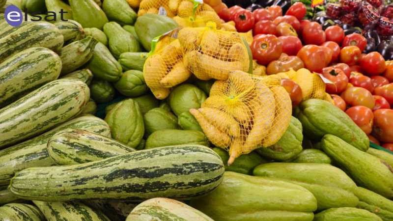 Consulenza per il Settore Alimentare